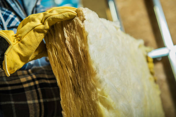 Best Insulation Installation Services in Monte Alto, TX